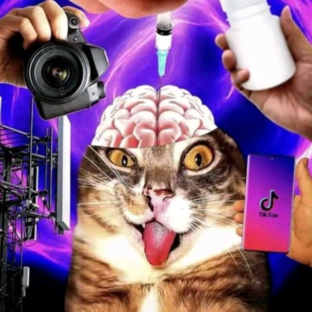 Евгений123312312312